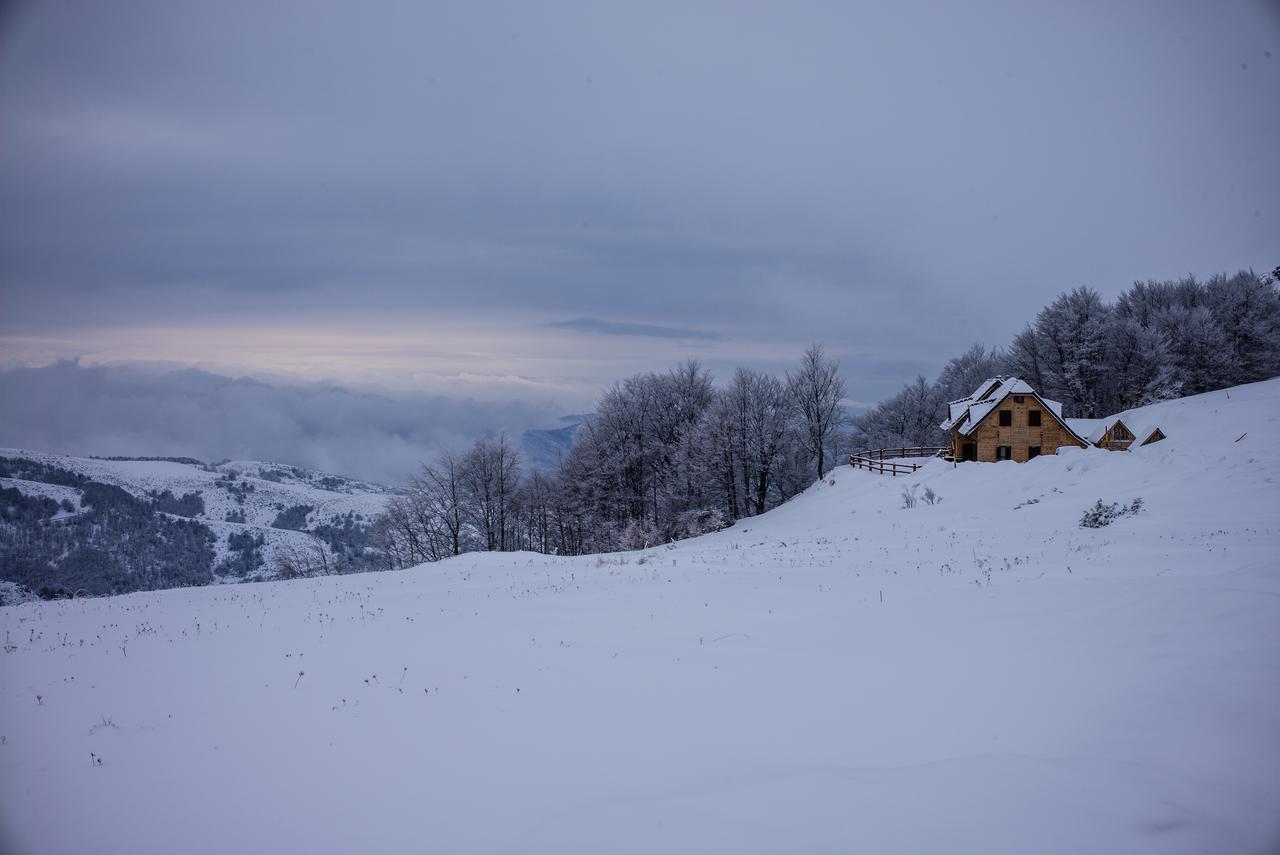 Holiday Home Floris Kopaonik Extérieur photo